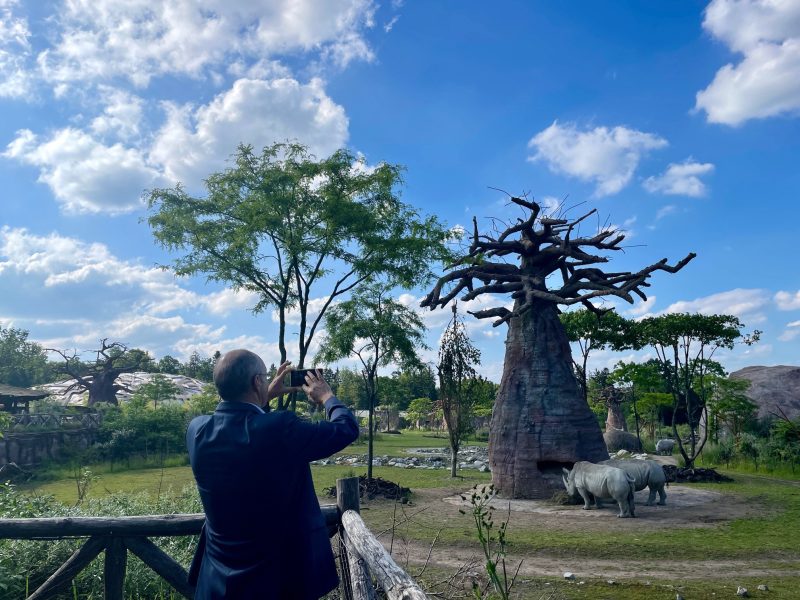 Bild im Zoo Zürich